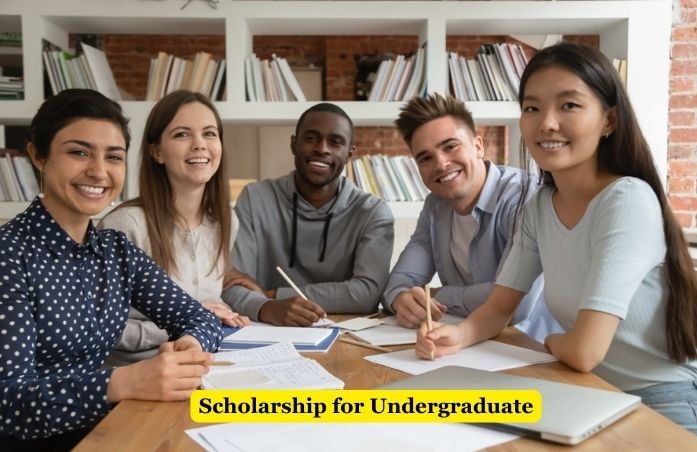 Scholarship for Undergraduate Students in India