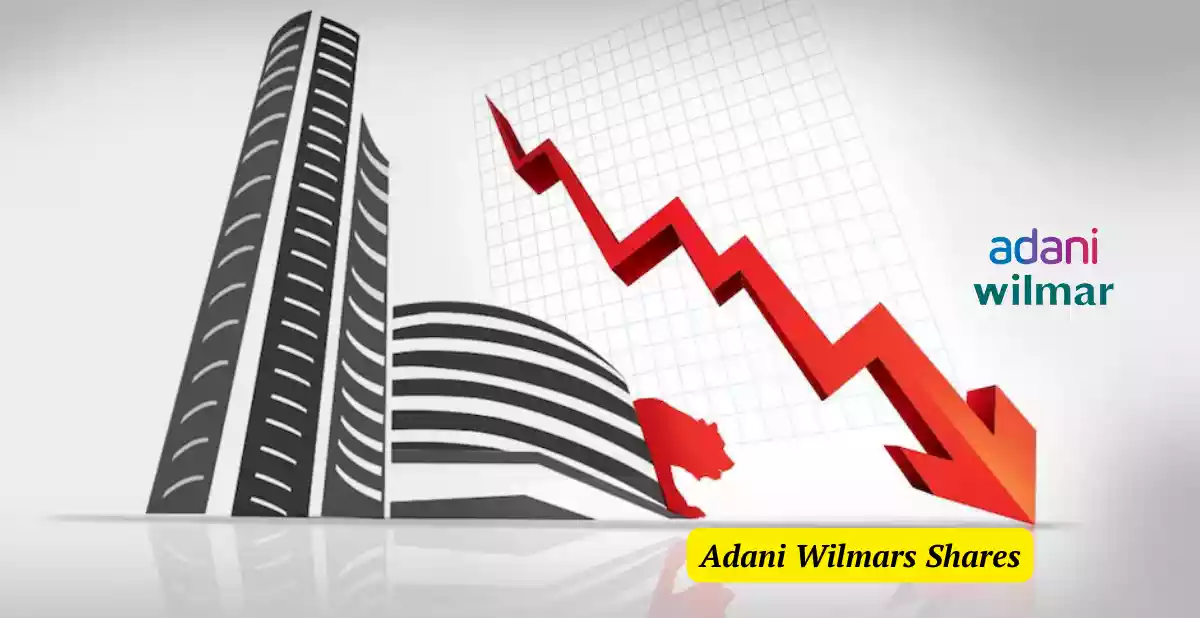 Adani Wilmars Shares