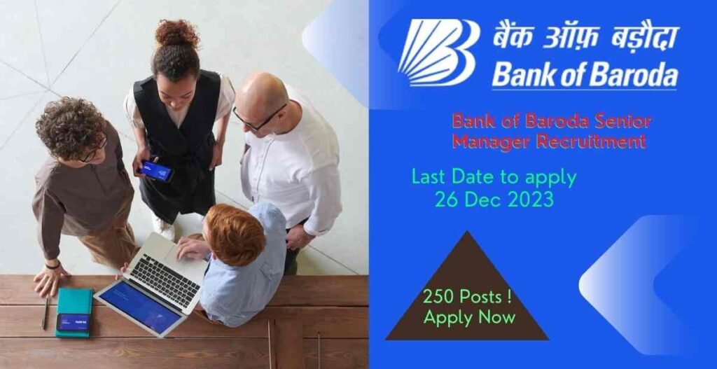 Bank of Baroda Senior Manager Recruitment 250 Posts